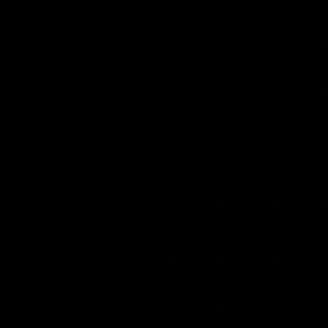 Meet your Posher, Brooklyn